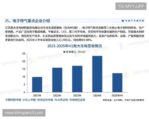 FC电子市场投资指南：电子行业市场潜力与投资风险分析